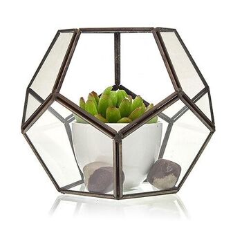 GTer-05 - Terrarium en verre - Grand Pentagone - Vendu en 1x unité/s par extérieur 2