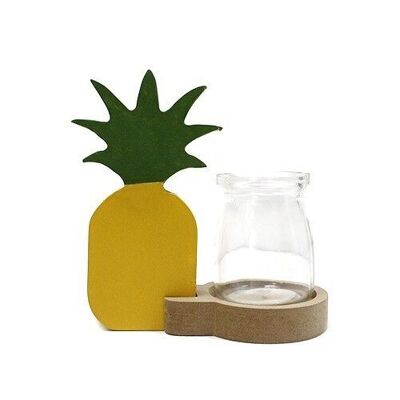 HHD-11 - Arredamento idroponico per la casa - Vaso per ananas - Venduto in 1x unità per esterno