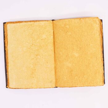 LBN-36 - Hefty Brown Tan Book - Zinc Rose Decor - 200 pages à bords pontés - 26x18cm - Vendu en 1x unité/s par extérieur 3