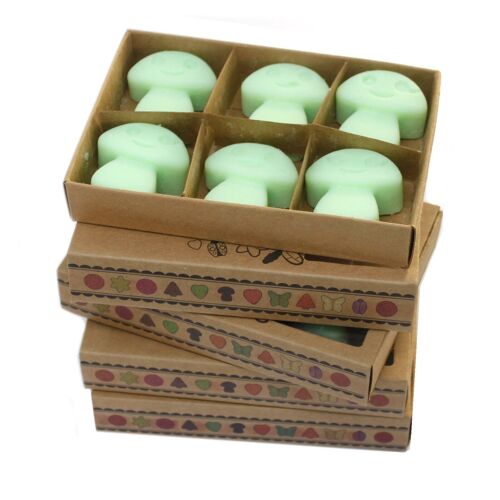 LWMelt-06 - Box of 6  Wax Melts - Liquorice - Sold in 5x unit/s per outer