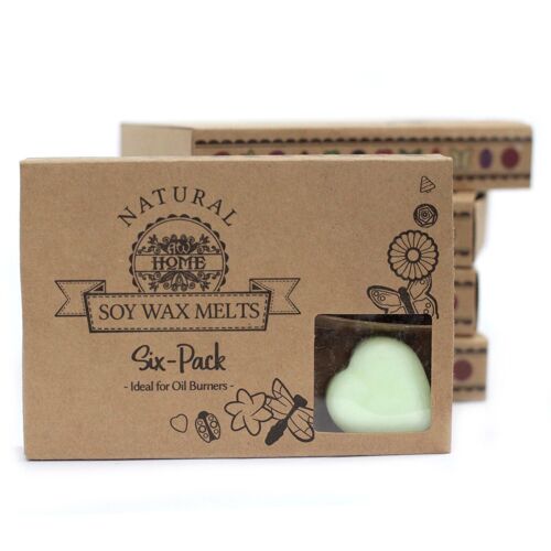 LWMelt-03 - Box of 6 Wax Melts - Apple Spice - Sold in 5x unit/s per outer