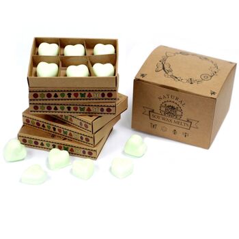 LWMelt-03 - Boîte de 6 cires fondues - Apple Spice - Vendu en 5x unité/s par extérieur 2
