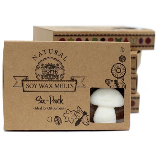 LWMelt-22 - Box of 6 packs Wax Melts - White Musk - Sold in 5x unit/s per outer