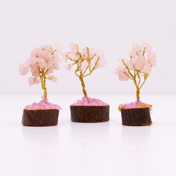 MGemT-12 - Mini arbres de pierres précieuses sur base en bois - Quartz rose (15 pierres) - Vendu en 12x unité/s par extérieur 2