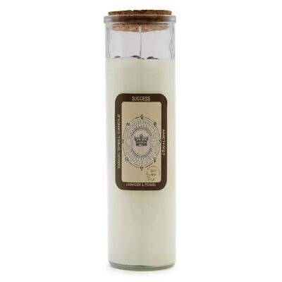 MSC-04 - Magic Spell Candle - Success - Vendido en 1x unidad/es por exterior