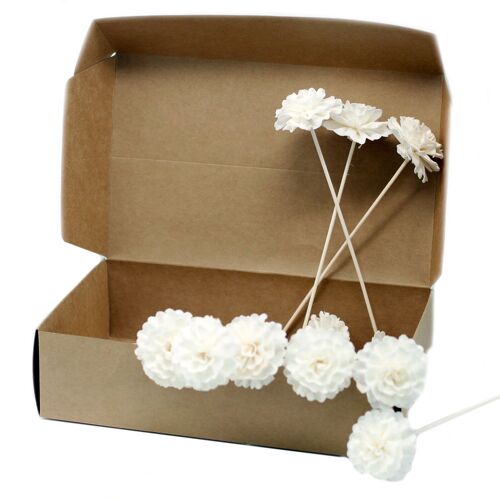 Ndiff-09 - Natural Diffuser Flowers - Carnation on Reed - Sold in 12x unit/s per outer