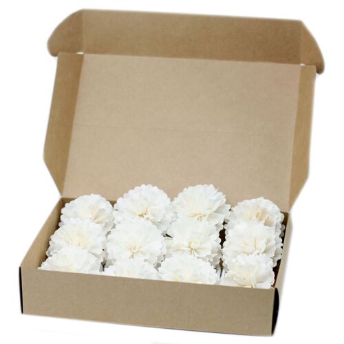 Ndiff-05 - Natural Diffuser Flowers - Med Carnation on String - Sold in 12x unit/s per outer