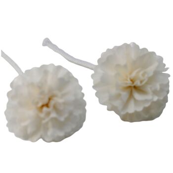 Ndiff-05 - Fleurs naturelles pour diffuseur - Med Carnation on String - Vendu en 12x unité/s par extérieur 2