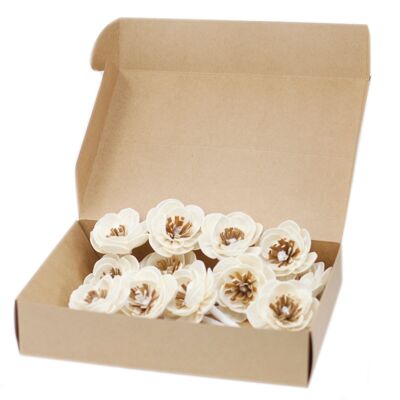 Ndiff-08 - Flores difusoras naturales - Amapola pequeña en cuerda - Se vende en 12x unidad/es por exterior