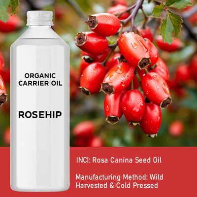 OrgBOz-10 - Olio di rosa canina biologico 1 litro - Venduto in 1 unità/s per esterno