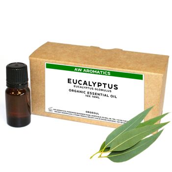 OrgeoUL-03 - Huile Essentielle d'Eucalyptus Bio 10 ml - Étiquette Blanche - Vendue en 10x unité/s par extérieur
