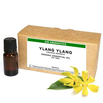 OrgeoUL-05 - Huile Essentielle Bio d'Ylang Ylang 10 ml - Étiquette Blanche - Vendue en 10x unité/s par extérieur