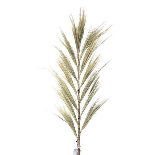 PamG-02 - Rayung Grass Blond - 1.6m - Sold in 3x unit/s per outer
