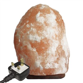 QSalt-39UK - Énorme lampe au sel de l'Himalaya de qualité - environ 24-25Kg - Vendue en 1x unité/s par extérieur 1