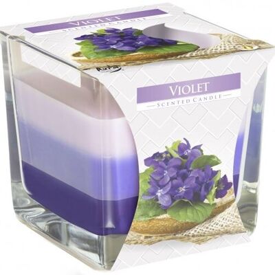 RJC-02 - Candela Rainbow Jar - Viola - Venduto in unità 6x per esterno