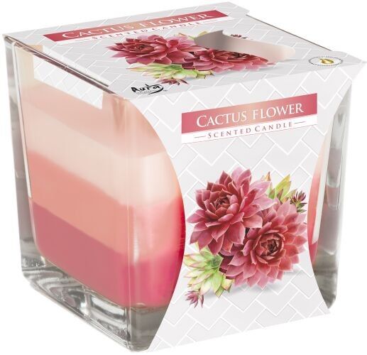 RJC-03 - Rainbow Jar Candle - Cactus flower - Sold in 6x unit/s per outer
