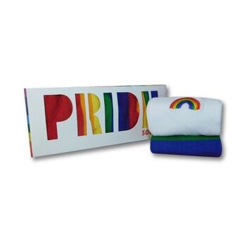 Ensemble-cadeau de chaussettes unisexe Pride 1