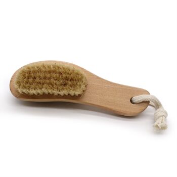 Scrub-17 - Brosse à dos ponce - Vendu en 14x unité/s par extérieur 2