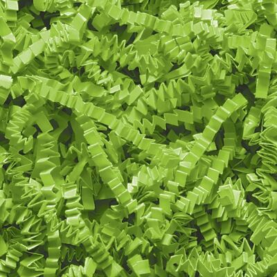 ShredsKG-09 - Papier déchiqueté ZigZag DeLux - Vert lime (1KG) - Vendu en 1x unité/s par extérieur