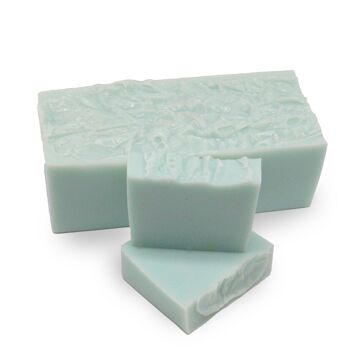 SLHCS-53 - Paquet de 13 barres de savon au thé aux bleuets - 100 g - Vendu en 1x unité/s par extérieur 1
