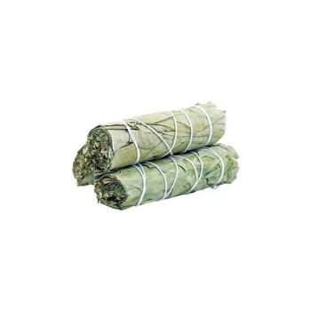 SmudgeS-38 - Smudge Stick - Eucalyptus Sage 10cm - Vendu en 1x unité/s par extérieur 2