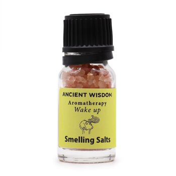 SSalt-04 - Sel odorant d'aromathérapie Wake Up - Vendu en 10x unité/s par extérieur 1