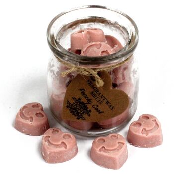 SWMJ-05 - Soywax Melts Jar - Peachy Cool - Vendu en 6x unité/s par extérieur 2