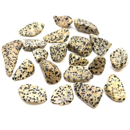 TBm-03 - L Tumble Stones - Dalmatian Jasper L - Sold in 24x unit/s per outer