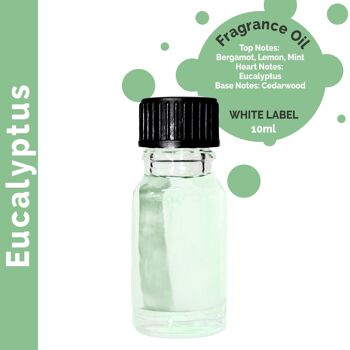 ULFO-22 - 10 ml d'huile parfumée à l'eucalyptus - Sans étiquette - Vendu en 10x unité/s par enveloppe 1