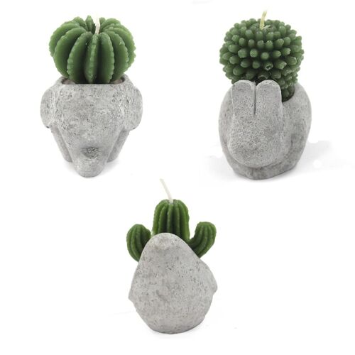 VCactus-05 - Cactus Candles - Animal Pot (asst) Display - Sold in 12x unit/s per outer