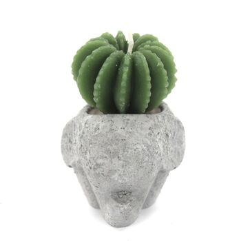 VCactus-05 - Cactus Candles - Animal Pot (asst) Display - Vendu en 12x unité/s par extérieur 2