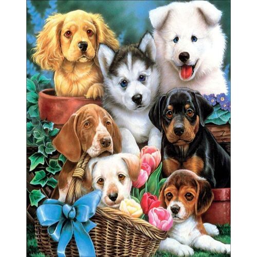 Diamond Painting Sweet Company,  40x30 cm, Round Drills with Frame