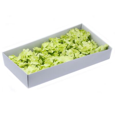 CSFH-40 - Flores de jabón artesanal - Hortensia - Verde primavera - Se vende en 36 unidades por exterior