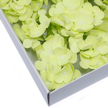CSFH-40 - Fleurs de savon artisanales - Hortensia - Vert printemps - Vendu en 36x unité/s par extérieur 3