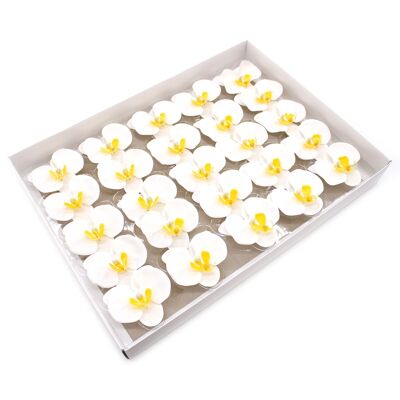 CSFH-73 - Fiore di sapone artigianale - Orchidea - Bianco - Venduto in 25 unità/e per esterno