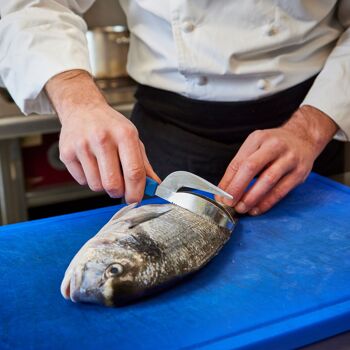 Écailleur à poisson - Vitécaille - Polypro Bleu - Sur Carte | Pratik | NOGENT ***  3