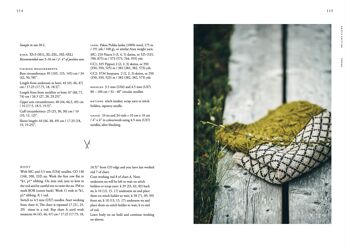 Livre : Arctic Knitting, La magie de la nature et du travail des couleurs 6