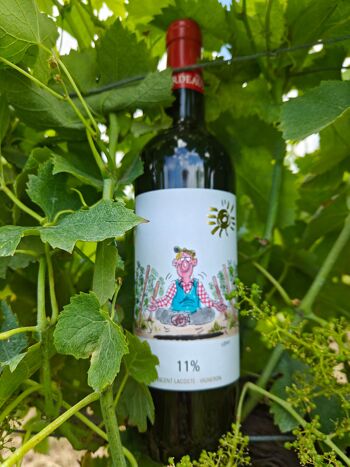 Vin léger Rouge Bio Bordeaux 2023 "11%" 4