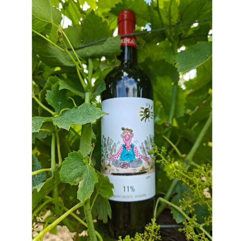 Vin léger Rouge Bio Bordeaux 2023 "11%"