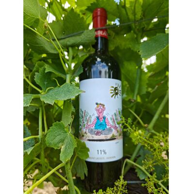 Vin léger Rouge Bio Bordeaux 2023 "11%"