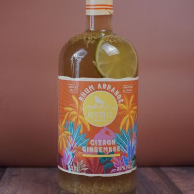 Arrangierter Rum – Lemon Ginger arrangierter Rum