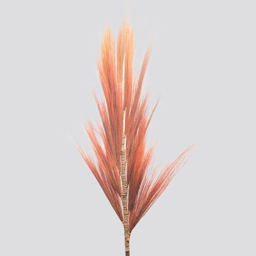 PamG-04 - Rayung Grass Coral - 1.6m - Sold in 3x unit/s per outer