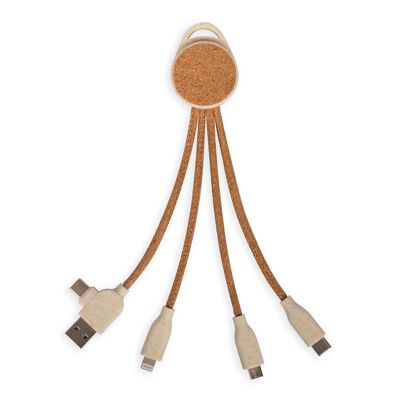 2-in-1-Multi-Tip-Ladekabel