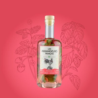 Armagnac AOC Bio – Fresa – Albahaca (edición limitada)