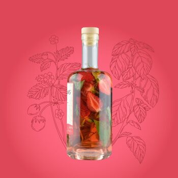 Armagnac AOC Bio – Fraise – Basilic (édition limitée) 2