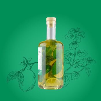 Armagnac AOC Bio – Menthe – Citron vert (édition limitée) 2