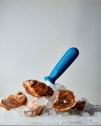 Couteau à huîtres - Bleu - Avec Protection | Pratik | NOGENT ***  2