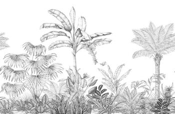 Papier peint Jungle - Panoramique en rouleau JUNGALA 2