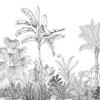 Papier peint Jungle - Panoramique en rouleau JUNGALA 3