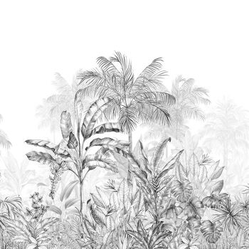 Papier peint graphique – Jungle Tropicale noir 6